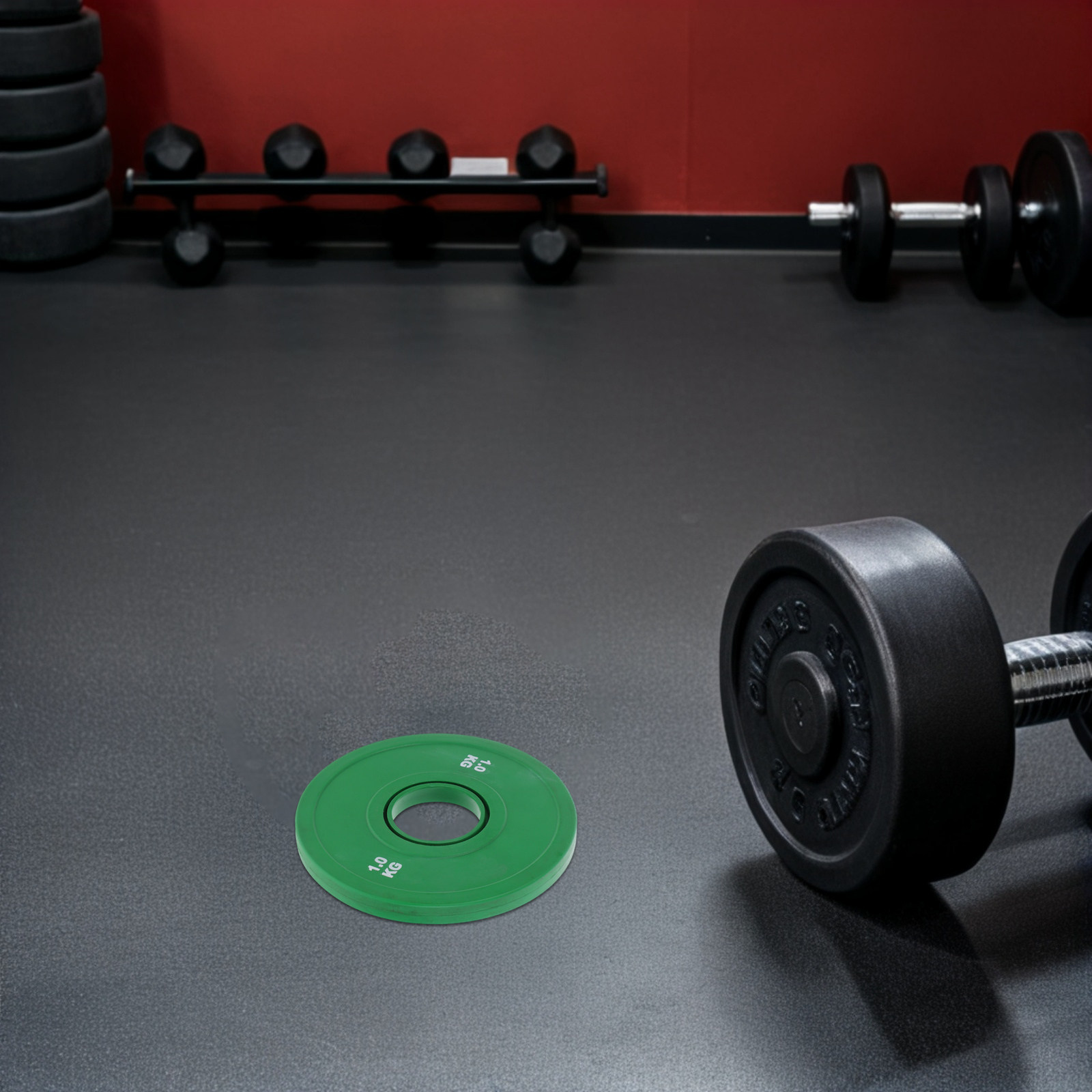 Weight Plate Bumper - ラバーウェイトプレート バーベル 1kg カラートレーニングバンパーフラクショナルプレート 安定した正確な筋力トレーニング用 ラバーコーティング