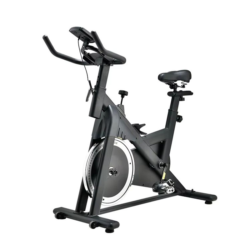 2025年最新トップスポーツジム屋内プロ仕様フィットネス固定 - Home Gym Bike のレビューと価格