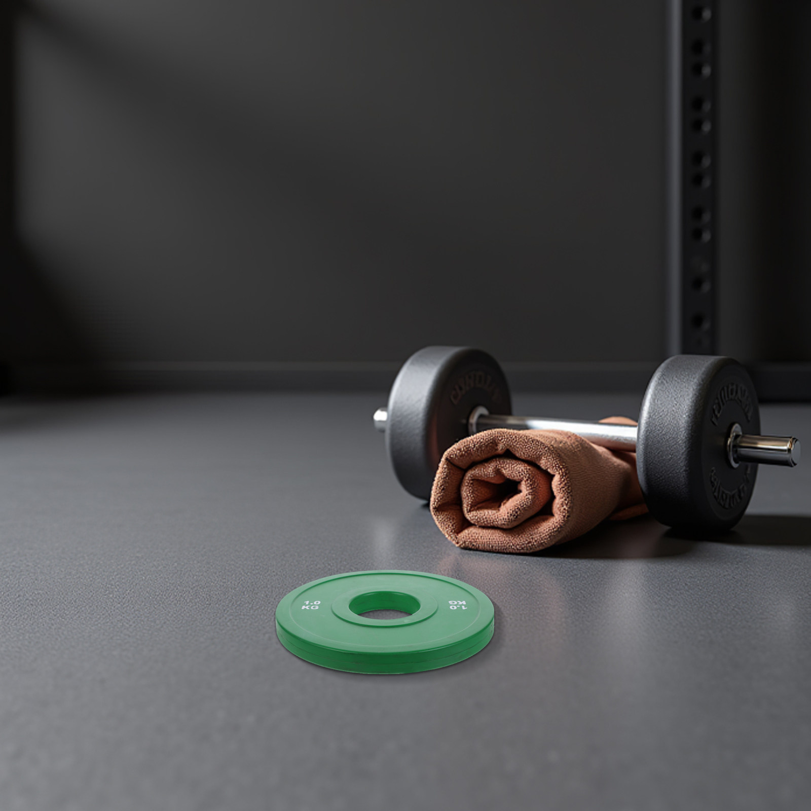 ラバーウェイトプレート バーベル 1kg カラートレーニング - Weight Plate Bumper のレビューと価格